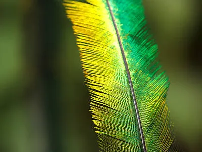 2020 الفا روميو ستيلفيو سوبر